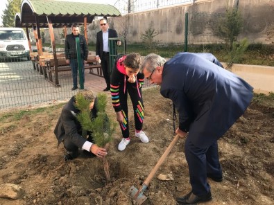 Başkan Çetin, Sirkeli'de Ağaç Dikti