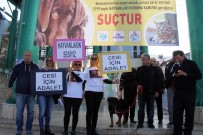 GÖKMEN - Hayvanseverler 'Cesi' İçin Toplandı
