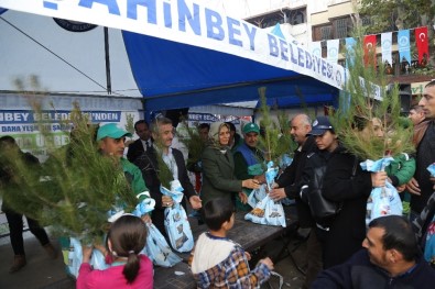 Şahinbey Belediyesi Fidan Dağıtımını Sürdürüyor