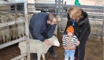 DOĞANCA - Vize İlçesinde 5 Genç Çiftçiye 185 Koyun Dağıtıldı