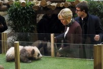 PANDA - Yavru Panda,  Brigitte Macron'a Saldırdı