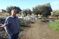 ZEYTINLIK - Zeytinlikler Çöplüğe Döndü