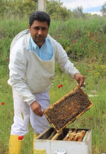 Arı Yetiştiricileri Birliği Başkanı Özdemir'den Arıcılara Uyarı