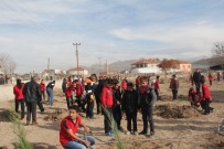 TARıK BAHADıR - Başkan Karayol, Öğrencilerle Birlikte Ağaç Dikti