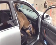 Durdurulan Araçta 1 Kilo Uyuşturucu Madde Ele Geçirildi