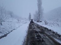 ÇıLDıR GÖLÜ - Türkiye Donuyor !