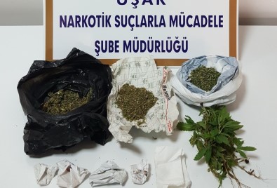 Uşak'taki Uyuşturucu Operasyonunda 7 Kişi Tutuklandı