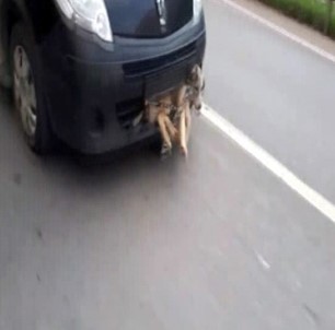 Pendik'te akıl almaz olay