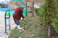ÇALıŞMA VE SOSYAL GÜVENLIK BAKANLıĞı - Sokak Temizliğine Kadın Eli Değdi
