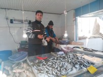 Karadeniz Hamsinin Fiyatı Tavan Yaptı