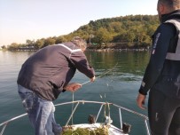 Sapanca Gölü'nde Doğal Yaşam Korunuyor