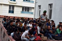 Tosya'da Göçmen Kaçakçılığından 2 Kişiye Ceza Yağdı