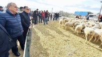 MEHMET ALI ÖZTÜRK - İzmir'de Tarım Böyle Gelişiyor