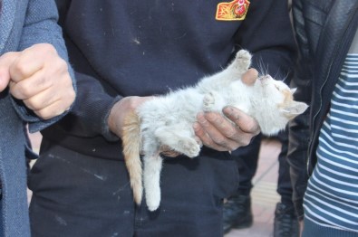 Otomobilin Motor Kısmında Sıkışan Yavru Kediyi İtfaiye Kurtardı