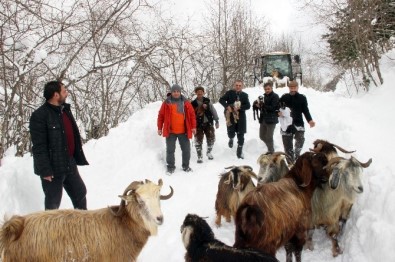 2 Çoban Ve 250 Küçükbaş Hayvan 4 Saatlik Operasyonla Kurtarıldı