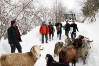 İBRAHIM SAĞıROĞLU - 2 Çoban Ve 250 Küçükbaş Hayvan 4 Saatlik Operasyonla Kurtarıldı