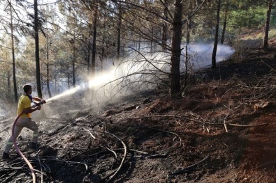 Adana'da Geçen Yıl Çıkan Yangınlarda 146 Hektar Orman Zarar Gördü