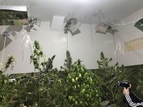 ISI YALITIMI - Bu Da Uyuşturucu Odası