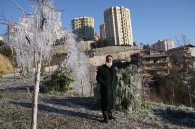 Kocaeli'de Buz Tutan Yeşil Alandan Karposttallık Görüntüler