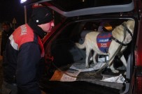 Bolu'da Bomba Arama Köpeği İle Huzur Operasyonu