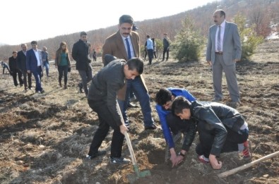 Gölbaşı Metem Hatıra Ormanına 2 Bin Fidan Dikildi