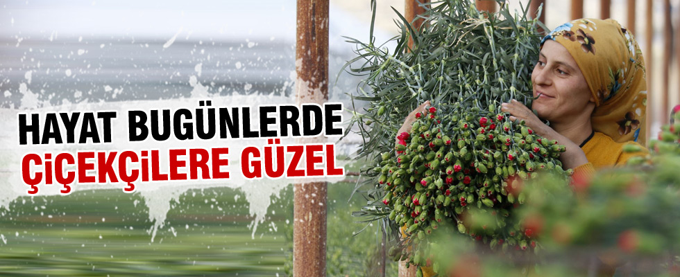 Sevgililer Günü için rekor çiçek talebi