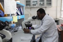 ADDIS ABABA - TİKA, Etiyopya'da Mekele Devlet Hastanesine Tıbbi Ekipman Desteğinde Bulundu