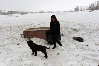 Yavru Köpeklere Şefkat Eli