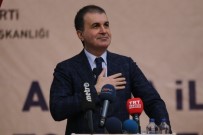 İL DANIŞMA MECLİSİ - AB Bakanı Çelik Açıklaması 'Karşı Karşıya Olduğumuz Meydan Okumalara Karşı Daha Konsolide Devlete İhtiyacımız Var'