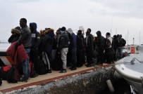 161 Kaçak Göçmen Yakalandı