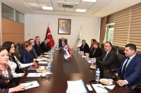 İSMAİL HAKKI ERTAŞ - Adana Valiliği AB Ve Dış İlişkiler Birimi Faaliyet Raporu Sunuldu