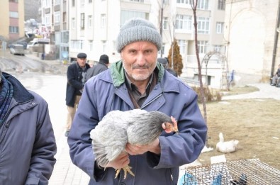 Vatandaşlardan Köy Tavuğuna Büyük İlgi