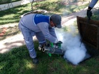 Antalya Büyükşehir'den Sinekle Mücadele Çalışması