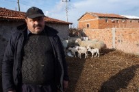 'Devlet Desteklemeli Çiftlik Kuruyoruz' Diyerek Köylüyü Dolandırdılar