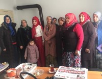 KÖSRELIK - Kadınlar Ev Ev Gezip Hizmetleri Anlatıyor