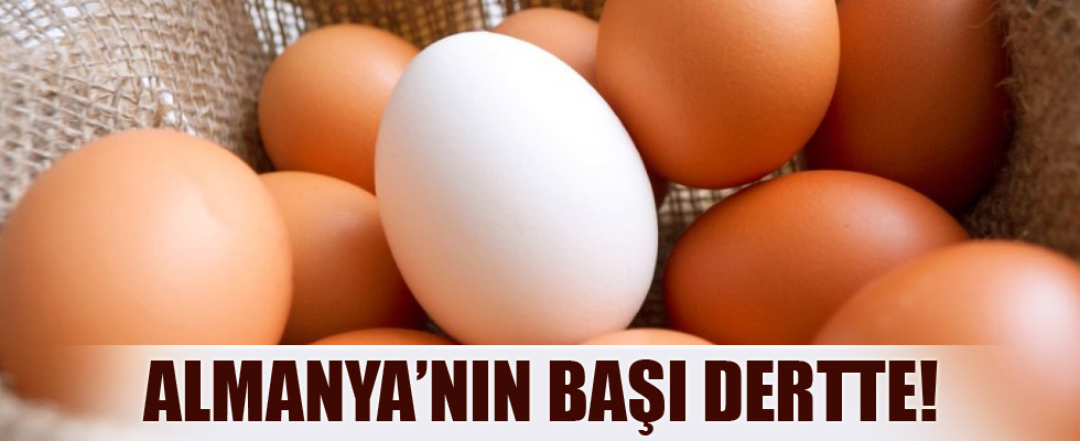 Almanya'da yumurta sıkıntısı