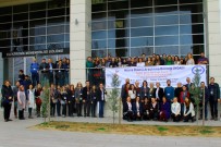 VERİ TABANLARI - GTÜ'de Hücre Ölümlerine Çareler Arandı