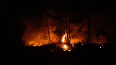 Manavgat'ta 2 Ayrı Orman Yangını