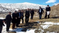 YABANİ HAYVANLAR - Sivas'ta Doğaya Yaban Hayvanları İçin Yem Bırakıldı