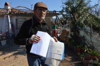 OKUL İNŞAATI - Yıkılmak Üzere Olan Gecekondudaki Söğüt Ailesi Yardım Bekliyor