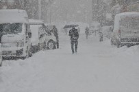 SOĞUK HAVA DALGASI - Yüksekova'da yoğun kar yağışı