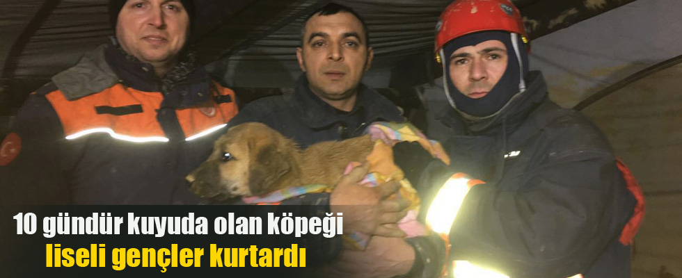 10 gündür kuyuda olan köpek kurtarıldı