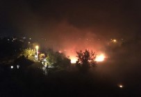Antalya'da Ot Yangını Korkuttu