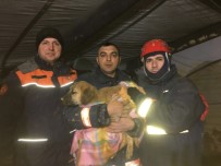 Kuyuya Düşen Yavru Köpek 10 Gün Sonra Kurtarıldı