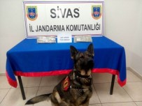 Sivas'ta Uyuşturucu Operasyonu