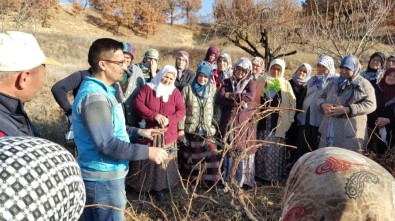 Pazarlar Halk Eğitim Merkezi 2016 Yılında 30 Branşta 65 Kurs Açtı