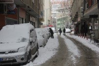 Artvin'de Karla Mücadele Çalışmaları