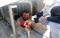 HAVALANDIRMA BOŞLUĞU - Havalandırma Boşluğuna Düşen Kediyi Hastanenin Sivil Savunma Ekipleri Kurtardı