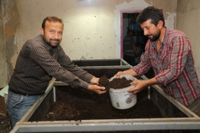 Melikgazi Belediyesi Solucan Gübresi Üretiyor