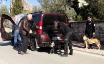 TURGUTREIS - Muğla Polisinden Uyuşturucu Denetimi
